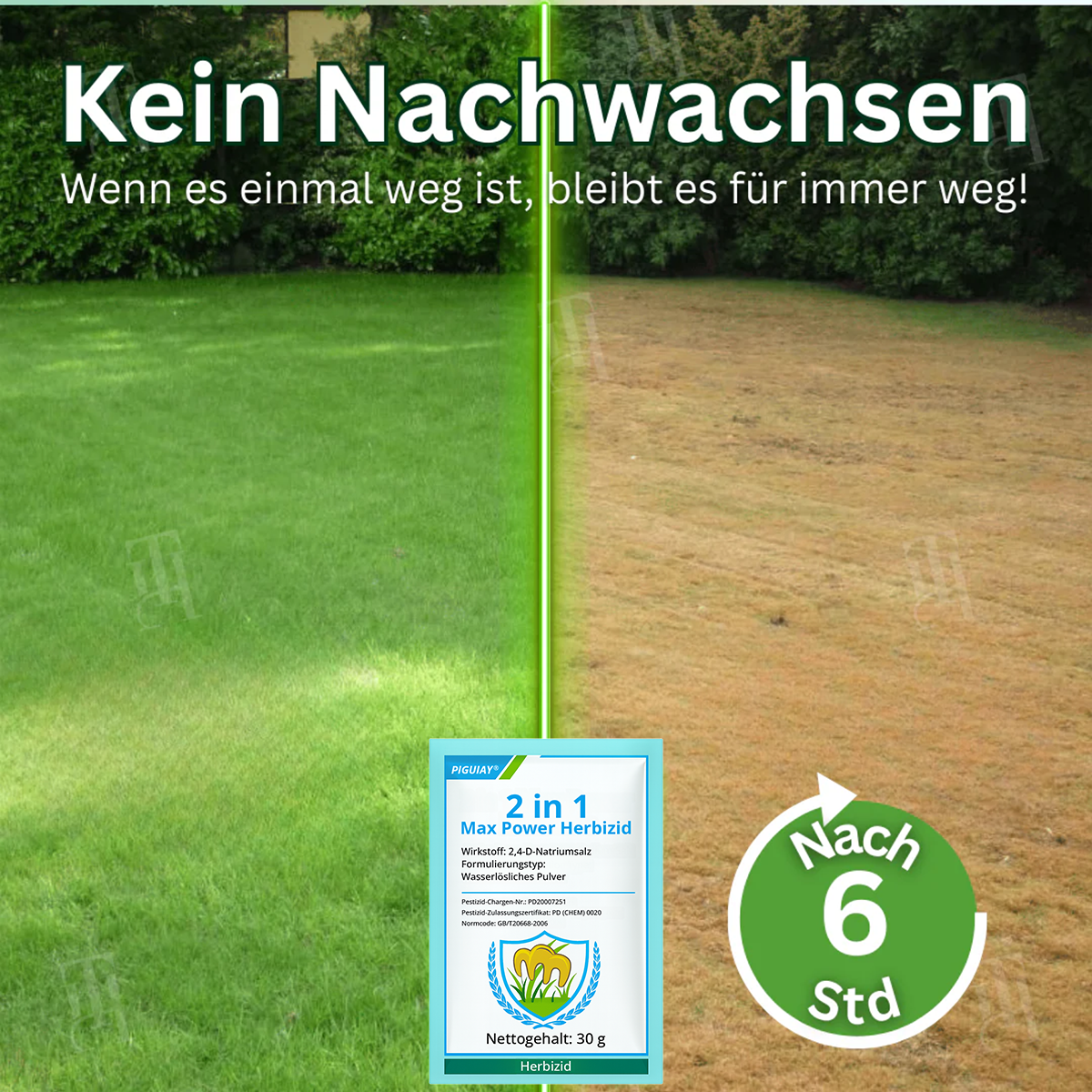 🔥NIEDRIGSTER PREIS – 50 % RABATT Piguiay® 2 in 1 Max Power Herbizid