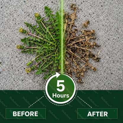 🔥Healrize® 5-Hour Max Power Dual-Action Herbicide| Fast-Acting Granules for Stubborn Weeds & Brush